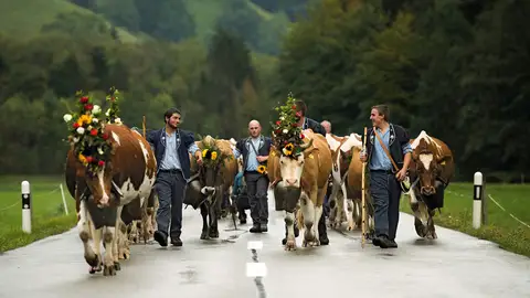 Inalpe, la fiesta que celebra el alma del queso suizo Inalpe, la fiesta que celebra el alma del queso suizo