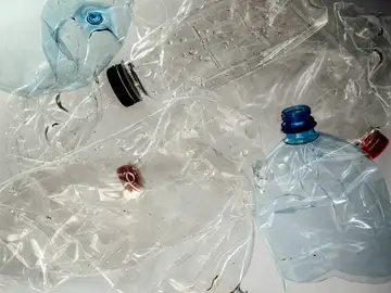 Una bacteria es capaz de convertir botellas de plástico en paracetamol Una bacteria es capaz de convertir botellas de plástico en paracetamol