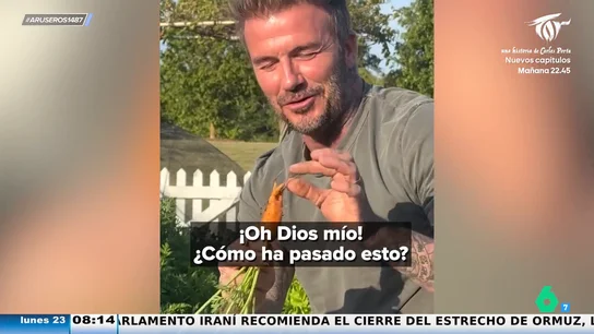Victoria Beckham se cachondea de la zanahoria deforme de David Beckham: "Es horrible y vergonzoso" Victoria Beckham se cachondea de la zanahoria deforme de David Beckham: "Es horrible y vergonzoso"