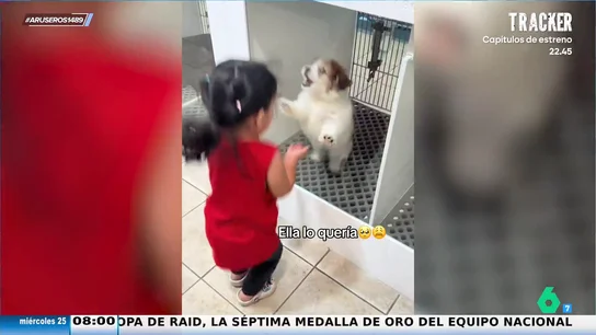 La mágica conexión entre una niña y el cachorro que va a adoptar: "Son ellos los que nos eligen" La mágica conexión entre una niña y el cachorro que va a adoptar: "Son ellos los que nos eligen"