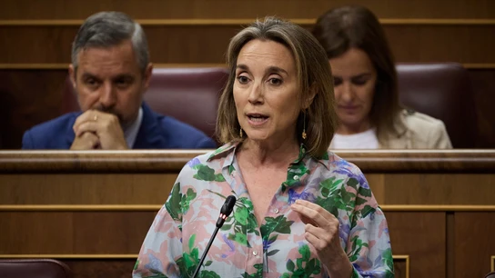 La secretaria general del PP, Cuca Gamarra, en una imagen de archivo La secretaria general del PP, Cuca Gamarra, en una imagen de archivo