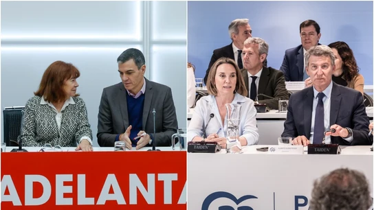 Entre refuerzos y reformas: Sánchez y Feijóo encaran sus comités de partido para afianzar sus liderazgos Entre refuerzos y reformas: Sánchez y Feijóo encaran sus comités de partido para afianzar sus liderazgos