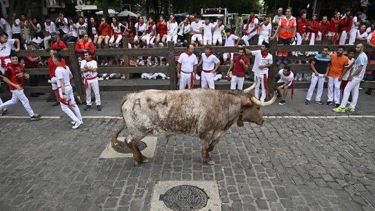 Uno de los encierros de San Fermín en Pamplona en julio de 2024 Uno de los encierros de San Fermín en Pamplona en julio de 2024