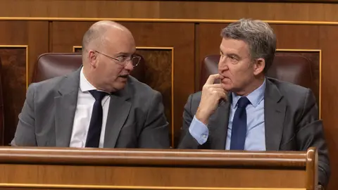 Alberto Núñez Feijóo y Miguel Tellado en el Congreso, en una imagen de archivo Alberto Núñez Feijóo y Miguel Tellado en el Congreso, en una imagen de archivo