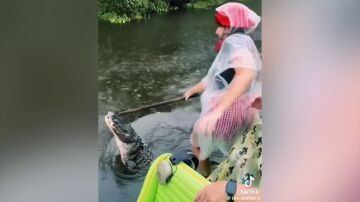 Cocodrilo
