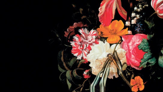 Detalle de la cubierta de 'Cuerpo viral', de Anna Metcalfe