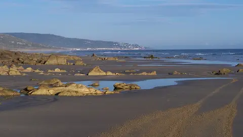 Barbate Barbate