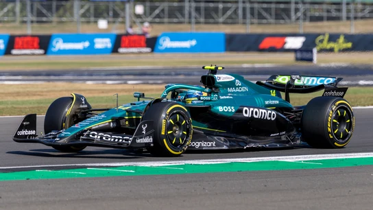 Fernando Alonso Fernando Alonso