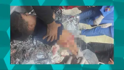 El Ejército israelí utiliza perros procedentes de empresas europeas para atacar a gazatíes. El Ejército israelí utiliza perros procedentes de empresas europeas para atacar a gazatíes.