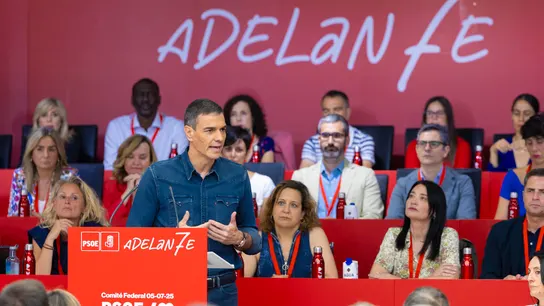 Pedro Sánchez durante su intervención este sábado en el Comité Federal del PSOE. Pedro Sánchez durante su intervención este sábado en el Comité Federal del PSOE.