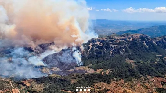 El incendio forestal de Paüls (Tarragona) sigue descontrolado tras calcinar 3.317 hectáreas: 18.000 personas permanecen confinadas El incendio forestal de Paüls (Tarragona) sigue descontrolado tras calcinar 3.317 hectáreas: 18.000 personas permanecen confinadas