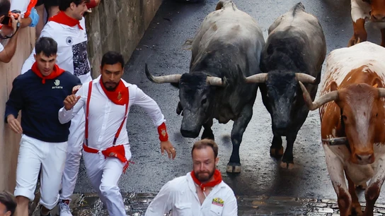 Los cárdenos de José Escolar, en el sexto encierro de San Fermín de 2025 Los cárdenos de José Escolar, en el sexto encierro de San Fermín de 2025