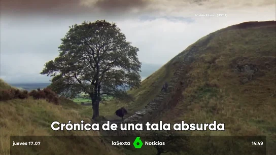 Crónica de una tala imperdonable: cuatro años de cárcel por derribar el árbol más famoso de Inglaterra Crónica de una tala imperdonable: cuatro años de cárcel por derribar el árbol más famoso de Inglaterra