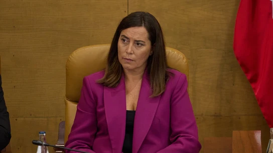 Imagen de archivo de la vicepresidenta de la Asamblea de Madrid, Ana Millán. Imagen de archivo de la vicepresidenta de la Asamblea de Madrid, Ana Millán.