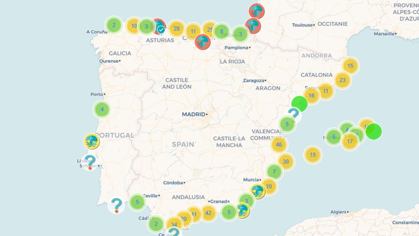 Mapa de avistamientos de medusas en España entre el 2 de agosto y 4 de agosto de 2025.