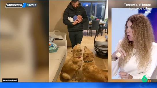 La emotiva reacción de dos Golden Retriever al recibir al bebé recién nacido en casa La emotiva reacción de dos Golden Retriever al recibir al bebé recién nacido en casa