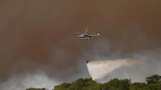 Incendio forestal declarado en el paraje de La Peña, en Tarifa (Cádiz). Incendio forestal declarado en el paraje de La Peña, en Tarifa (Cádiz).
