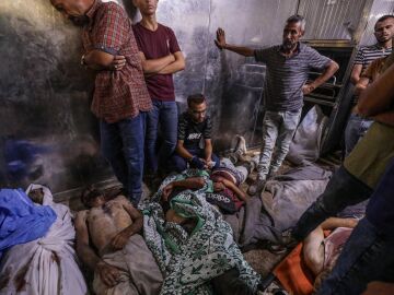 Expertos proponen denominar 'sanicidio' a la destrucci&oacute;n intencionada de la sanidad en guerras