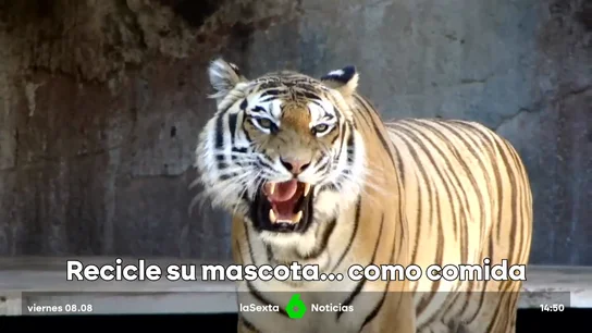 zoo DK zoo DK