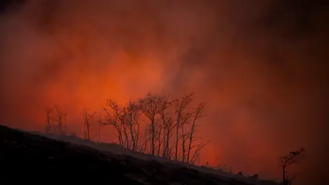 Incendio activo declarado el 10 de agosto de 2025 en el municipio de Maceda (Ourense) Incendio activo declarado el 10 de agosto de 2025 en el municipio de Maceda (Ourense)