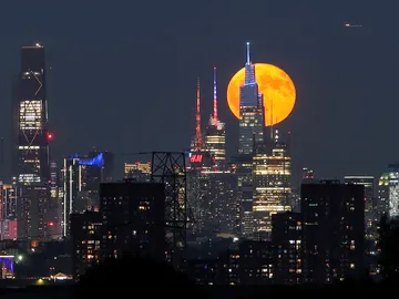 Luna de Esturión en Manhattan Luna de Esturión en Manhattan