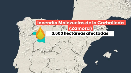 Incendio forestal en Zamora Incendio forestal en Zamora