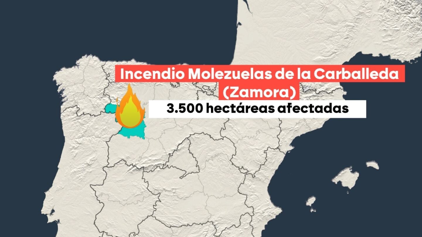 Incendio forestal en Zamora