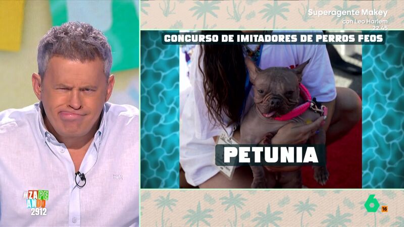 Miki Nadal y Nacho García se enfrentan en el primer concurso de imitadores de perros feos: "Ha clavado la mirada"