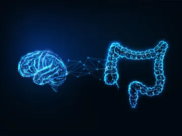 Conexión cerebro e intestinos Conexión cerebro e intestinos