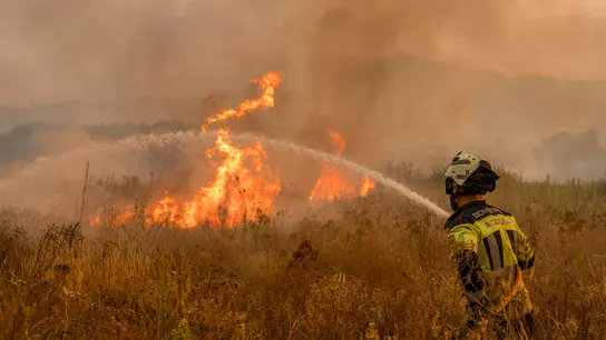 España registra más de 105.000 hectáreas quemadas en 201 incendios en lo que va de año España registra más de 105.000 hectáreas quemadas en 201 incendios en lo que va de año
