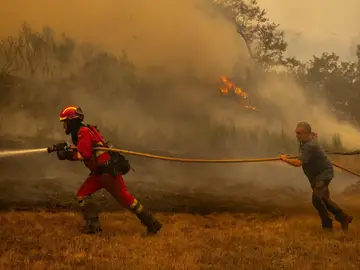 El fuego sigue arrasando Ourense, León y Zamora El fuego sigue arrasando Ourense, León y Zamora
