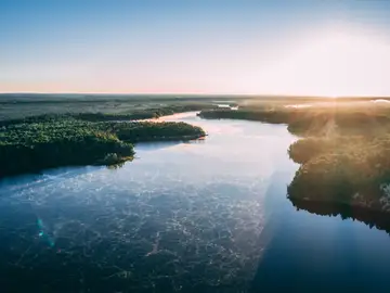 Rio Rio