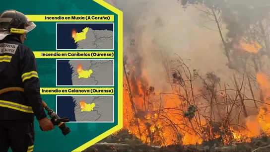 Aumentan a diez las personas detenidas por la ola de incendios que sufre España Aumentan a diez las personas detenidas por la ola de incendios que sufre España