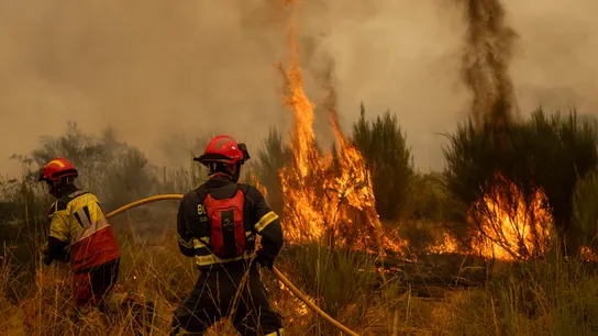 Incendios en Ourense. Incendios en Ourense.