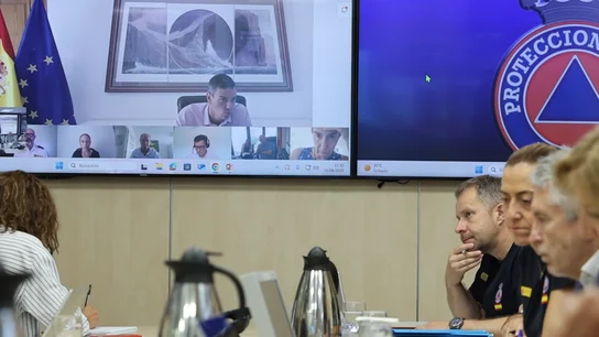 Pedro Sánchez, durante la reunión del Comité Estatal de Coordinación y Dirección del Plan Estatal de Emergencias (CECOD) Pedro Sánchez, durante la reunión del Comité Estatal de Coordinación y Dirección del Plan Estatal de Emergencias (CECOD)