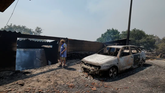 Afectada por los incendios. Afectada por los incendios.