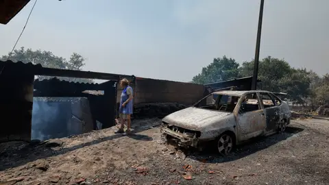 Afectada por los incendios. Afectada por los incendios.