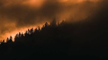 Incendio forestal