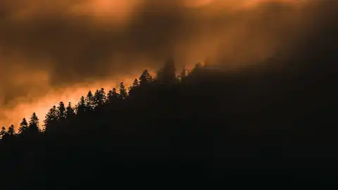 Incendio forestal Incendio forestal