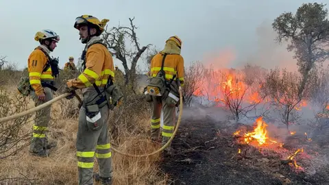 Efectivos de la brigada de bomberos forestales de la Región prestando ayuda en la lucha contra el fuego en Extremadura Efectivos de la brigada de bomberos forestales de la Región prestando ayuda en la lucha contra el fuego en Extremadura