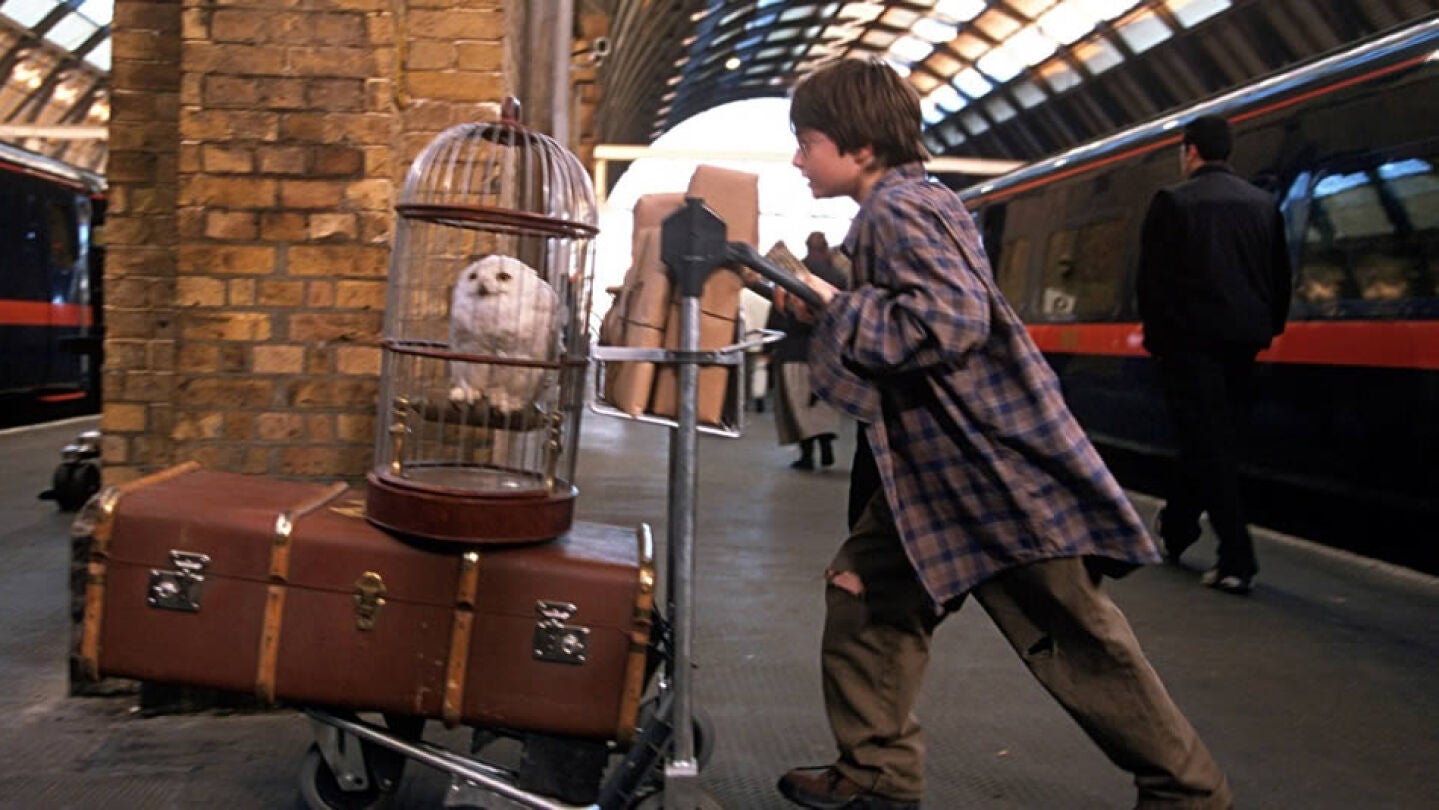 Harry Potter en el and&eacute;n 9 y 3/4
