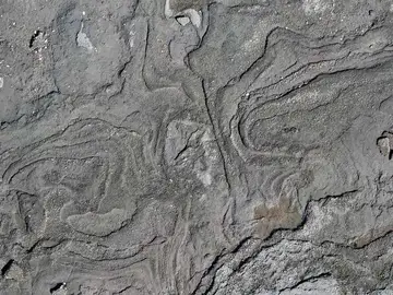 Sismitas halladas en la Playa de Tortuguero Sismitas halladas en la Playa de Tortuguero