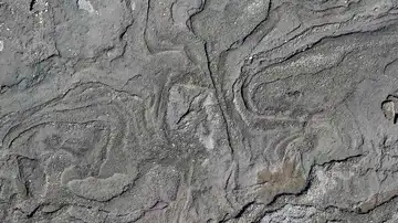 Sismitas halladas en la Playa de Tortuguero Sismitas halladas en la Playa de Tortuguero