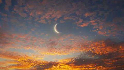 Luna Nueva Luna Nueva