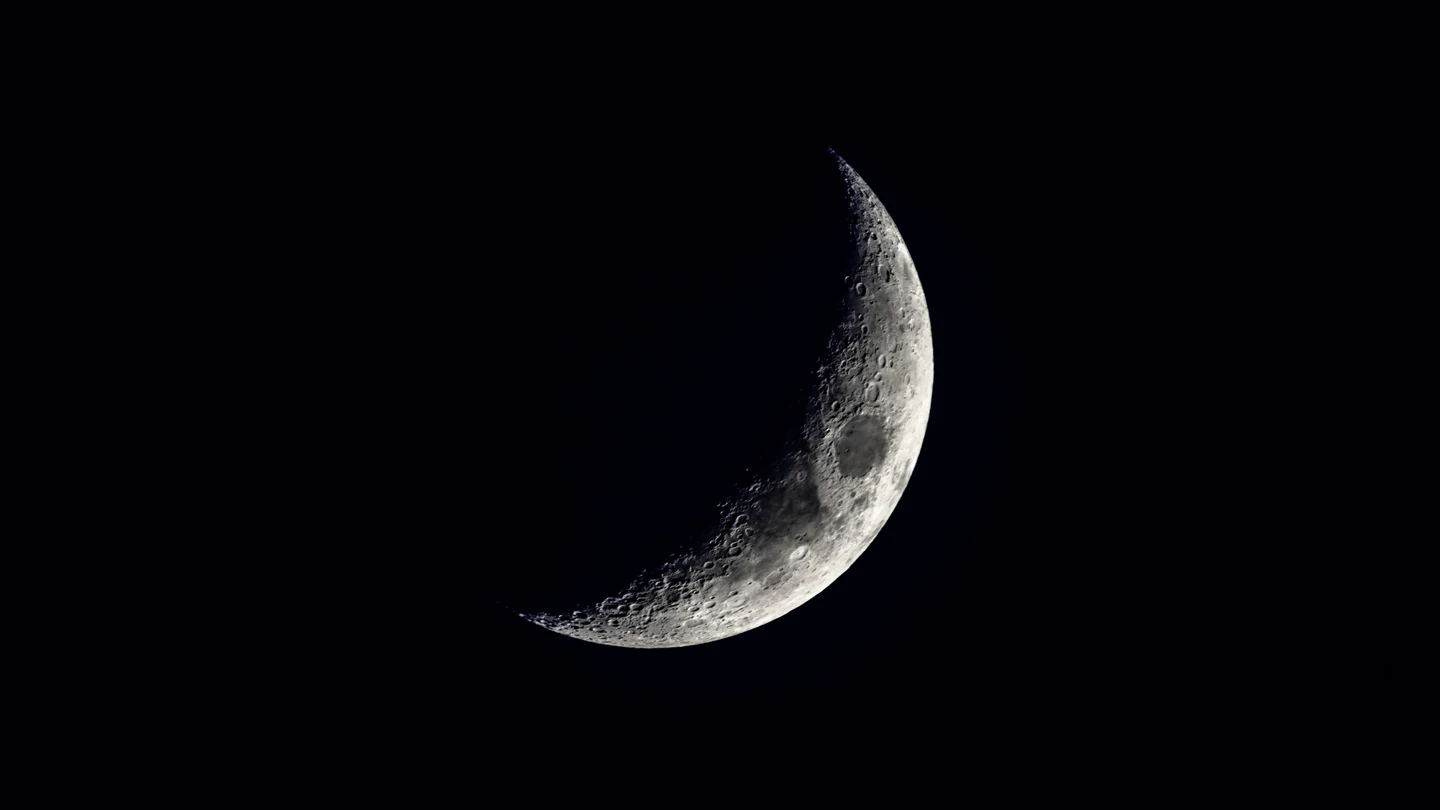 Luna Nueva Luna Nueva