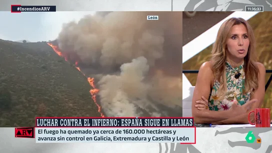 Carmen Morodo critica la respuesta política ante los incendios: "Se me cae la cara de vergüenza cuando les veo con el 'y tú más'" Carmen Morodo critica la respuesta política ante los incendios: "Se me cae la cara de vergüenza cuando les veo con el 'y tú más'"