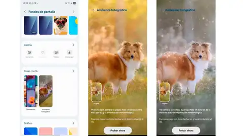 Así son los fondos de pantalla de ambiente fotográfico Así son los fondos de pantalla de ambiente fotográfico