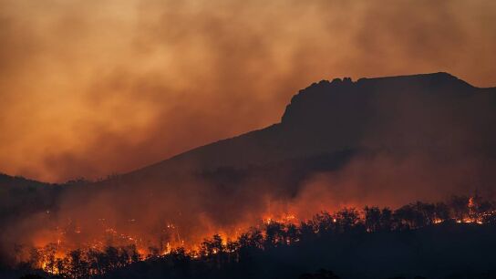 Incendio forestal