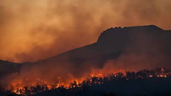 Incendio forestal Incendio forestal