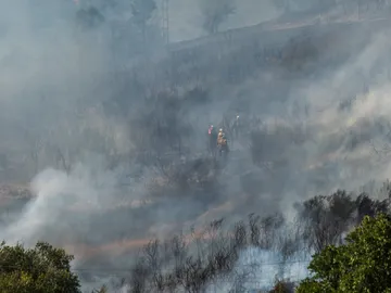Humo en un incendio forestal Humo en un incendio forestal